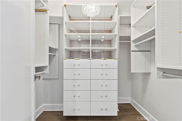 390 S Sepulveda Blvd Unit 105, Los Angeles, CA 90049 - walk in closet with dark wood-style floors