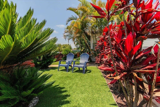 260406 Juan St, San Diego, CA 92110 - view of green lawn