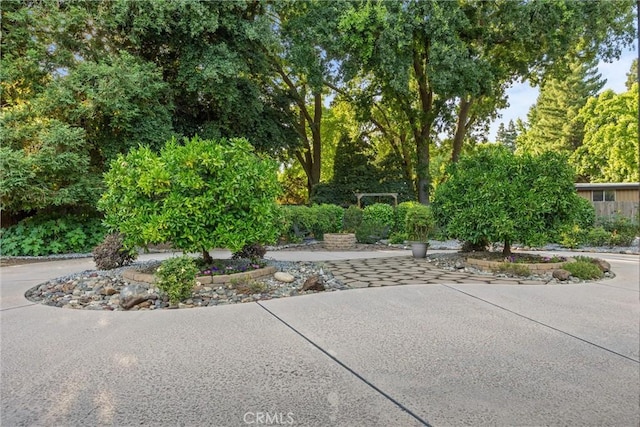 25 Misty Way, Chico, CA 95926 - view of property's community with a patio