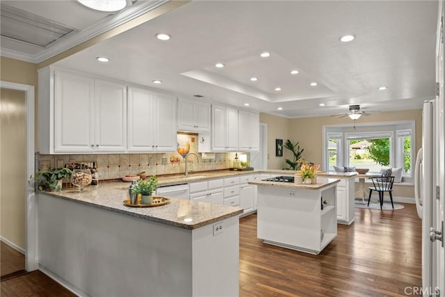 25 Misty Way, Chico, CA 95926 - kitchen with a peninsula, a tray ceiling, recessed lighting, dark wood-style flooring, and decorative backsplash