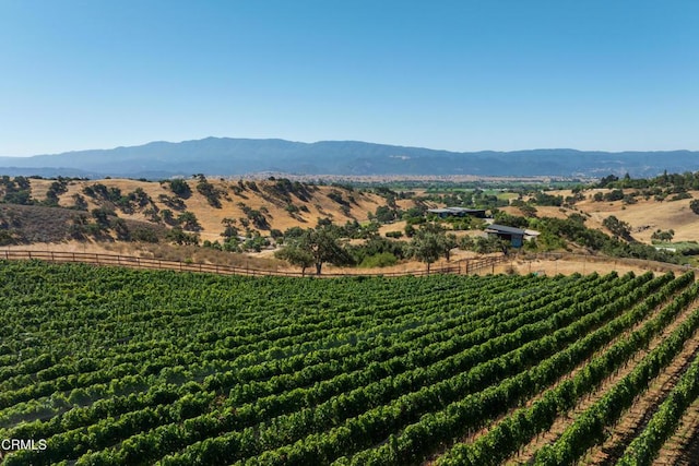 3001 Long Valley Rd, Santa Ynez, CA 93460 - photo 34