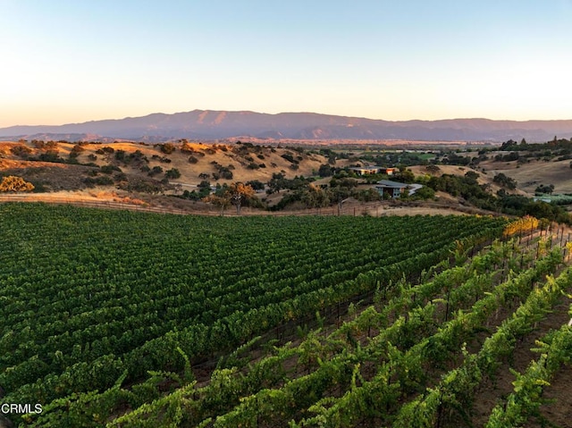 3001 Long Valley Rd, Santa Ynez, CA 93460 - photo 4