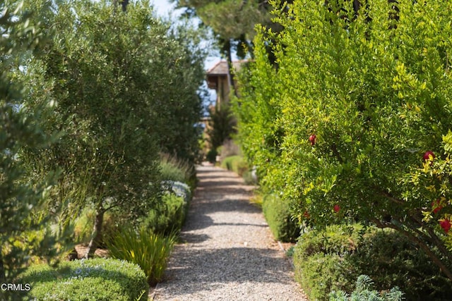 3001 Long Valley Rd, Santa Ynez, CA 93460 - photo 35