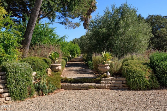 3001 Long Valley Rd, Santa Ynez, CA 93460 - photo 13