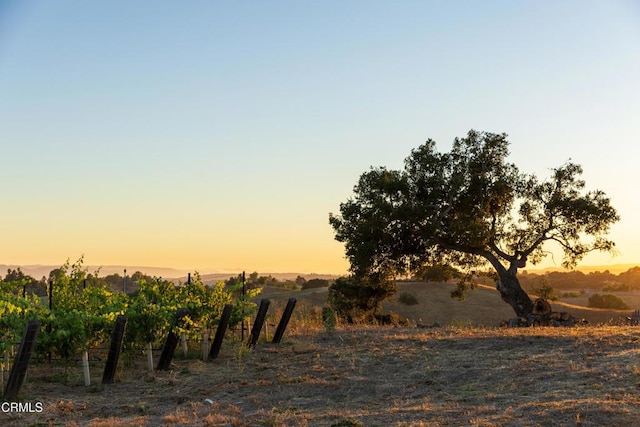 3001 Long Valley Rd, Santa Ynez, CA 93460 - photo 41