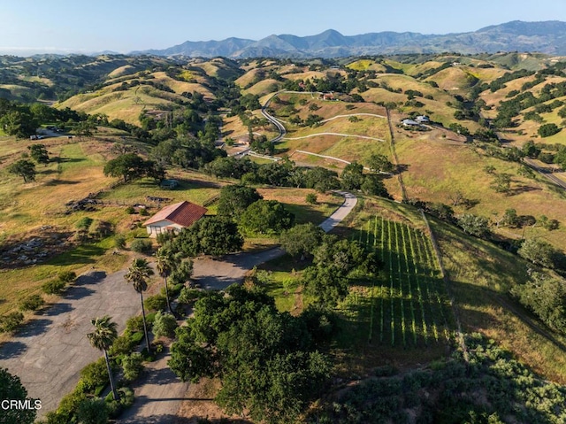 3001 Long Valley Rd, Santa Ynez, CA 93460 - photo 40