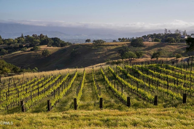 3001 Long Valley Rd, Santa Ynez, CA 93460 - photo 43