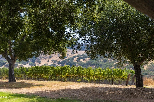 3001 Long Valley Rd, Santa Ynez, CA 93460 - photo 45