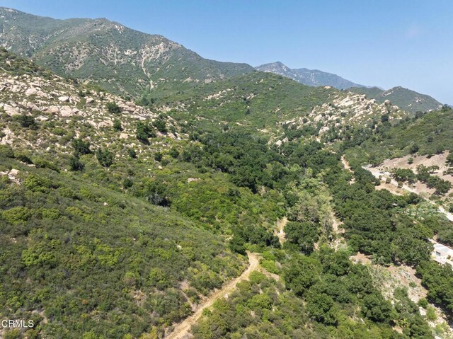 1067E E Mountain Dr, Montecito, CA 93108 - photo 24