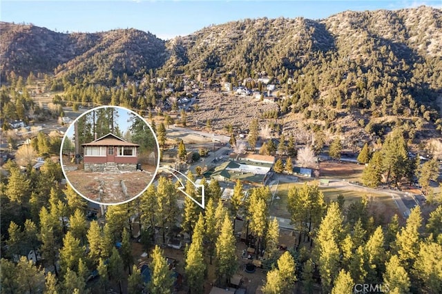 1149 Apple Ave, Wrightwood, CA 92397 - photo 4