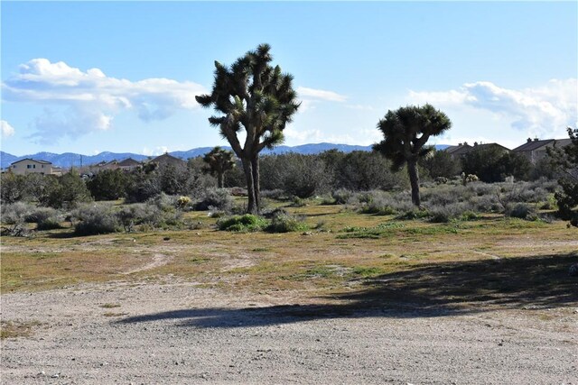 0 Escondido Ave, Hesperia, CA 92344 - photo 40