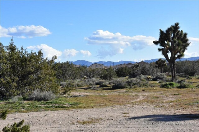 0 Escondido Ave, Hesperia, CA 92344 - photo 39