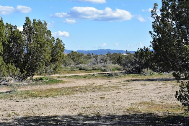 0 Escondido Ave, Hesperia, CA 92344 - photo 44