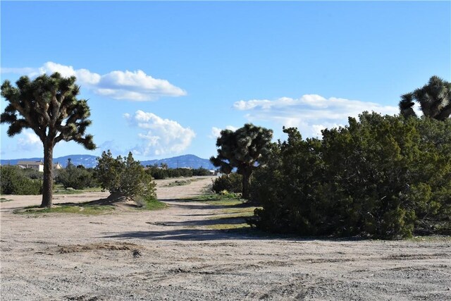 0 Escondido Ave, Hesperia, CA 92344 - photo 50