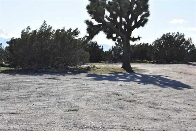 0 Escondido Ave, Hesperia, CA 92344 - photo 54