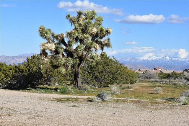 0 Escondido Ave, Hesperia, CA 92344 - photo 47