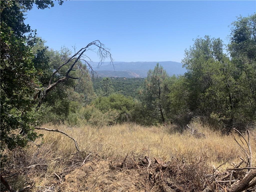 17 Pine Tree, North Fork, CA 93643