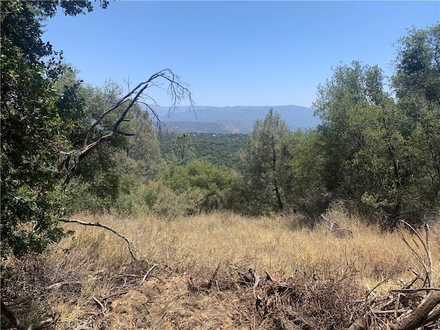 17 Pine Tree, North Fork, CA 93643