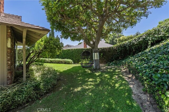 2526 Fontezuela Dr, Hacienda Heights, CA 91745 - view of grassy yard