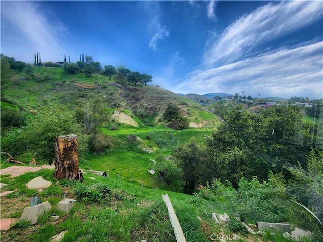 11860 W Trail Trail, Sylmar, CA 91342 - view of mountain background