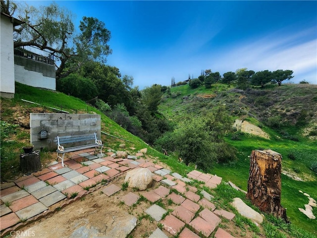 11860 W Trail Trail, Sylmar, CA 91342 - view of yard