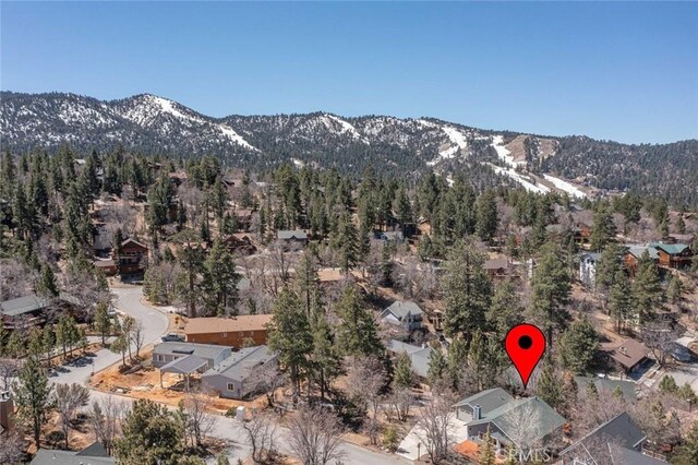1332 La Crescenta Dr, Big Bear, CA 92314 - photo 41