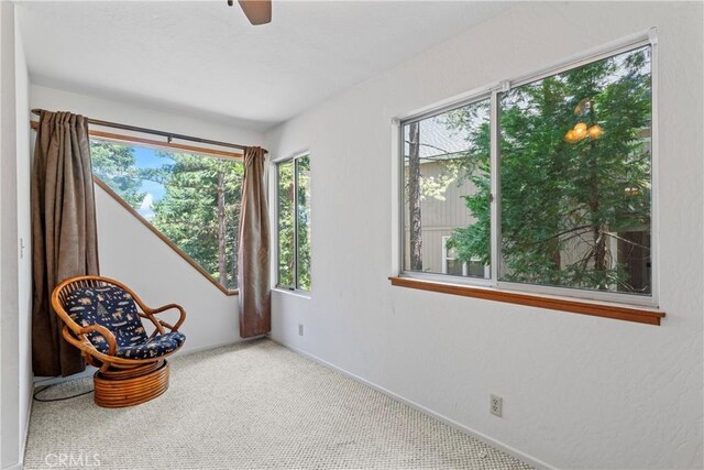279 Old Toll Rd, Lake Arrowhead, CA 92317 - photo 26