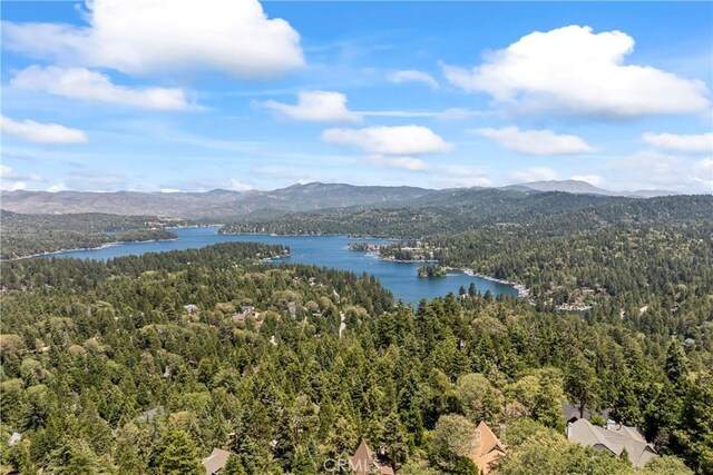 279 Old Toll Rd, Lake Arrowhead, CA 92317 - photo 46