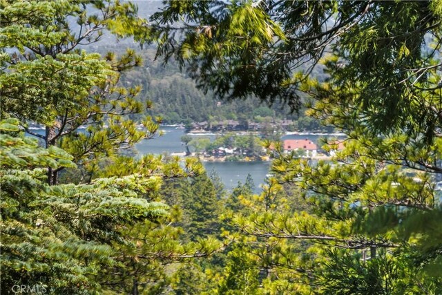 279 Old Toll Rd, Lake Arrowhead, CA 92317 - photo 44