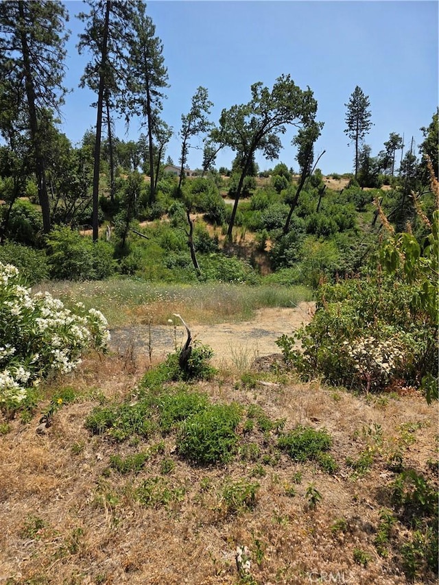 1278 Storybook Ln, Paradise, CA 95969