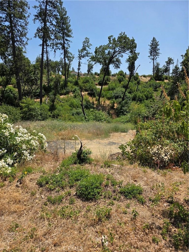 1278 Storybook Ln, Paradise, CA 95969