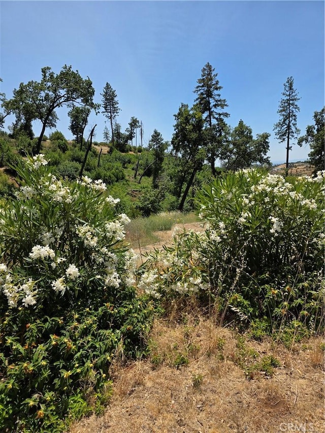 1278 Storybook Ln, Paradise, CA 95969