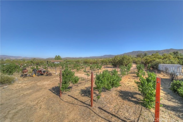 57820 Valley Vista Ln, Anza, CA 92539 - photo 8