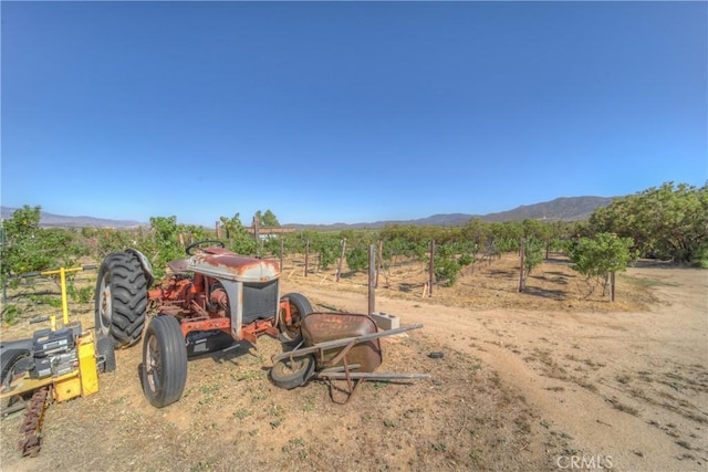57820 Valley Vista Ln, Anza, CA 92539 - photo 9