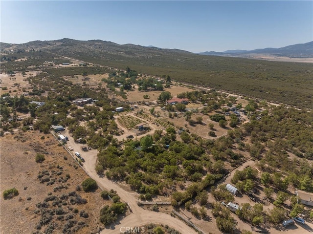 57820 Valley Vista Ln, Anza, CA 92539 - photo 25