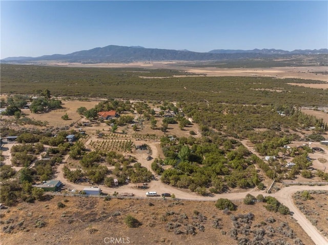 57820 Valley Vista Ln, Anza, CA 92539 - photo 24