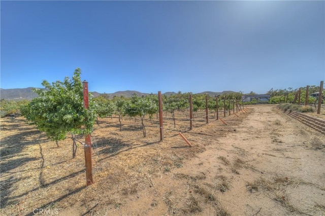 57820 Valley Vista Ln, Anza, CA 92539 - photo 11