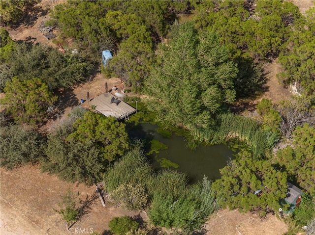 57820 Valley Vista Ln, Anza, CA 92539 - photo 37