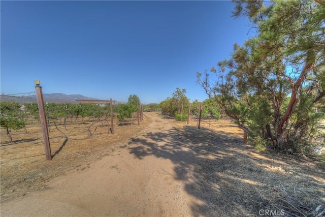 57820 Valley Vista Ln, Anza, CA 92539 - photo 4