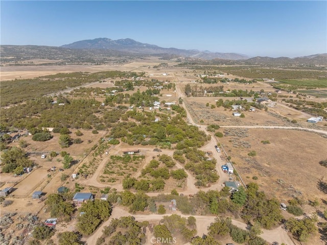 57820 Valley Vista Ln, Anza, CA 92539 - photo 32