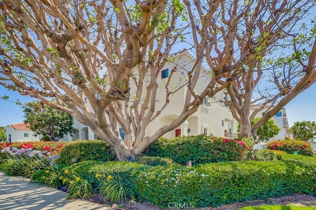 539 W 220th St Unit 39, Carson, CA 90745 - photo 67