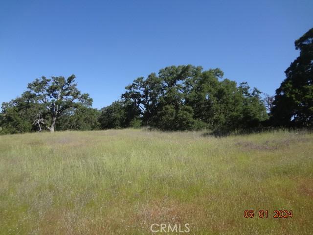 2225 Park Pl, Clearlake, CA 95422 - photo 15