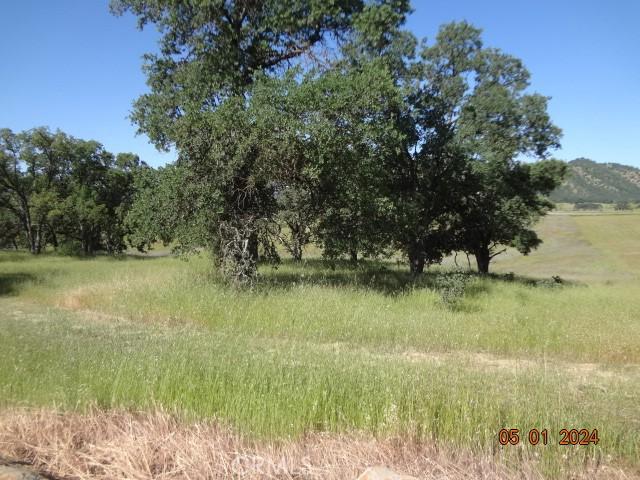 2225 Park Pl, Clearlake, CA 95422 - photo 8