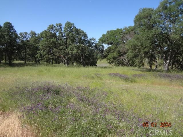 2225 Park Pl, Clearlake, CA 95422 - photo 10