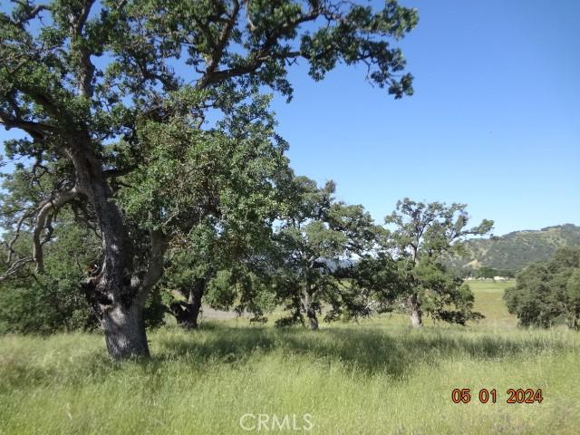2225 Park Pl, Clearlake, CA 95422 - photo 12