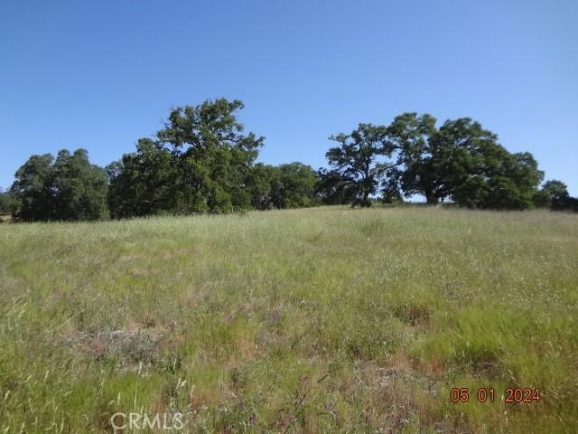 2225 Park Pl, Clearlake, CA 95422 - photo 16
