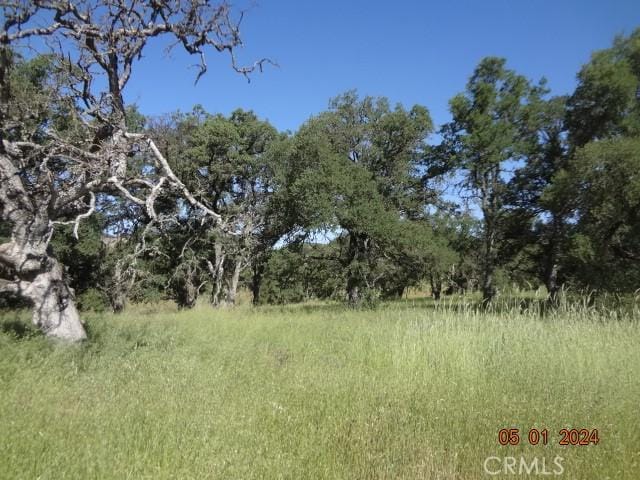 2225 Park Pl, Clearlake, CA 95422 - photo 11