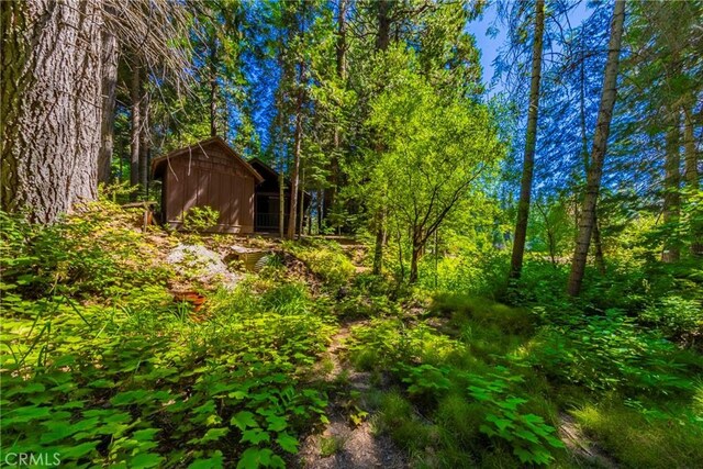 1190 Silver Tip Ln, Fish Camp, CA 93623 - photo 24