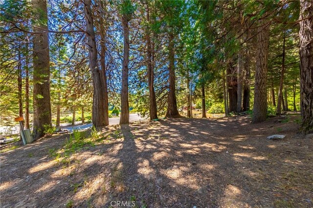 1190 Silver Tip Ln, Fish Camp, CA 93623 - photo 18