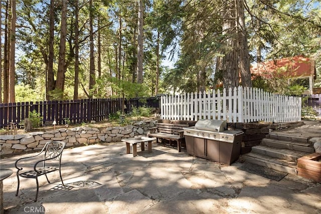 31701 Christmas Tree Ln, Running Springs, CA 92382 - fenced backyard with a patio area and a grill